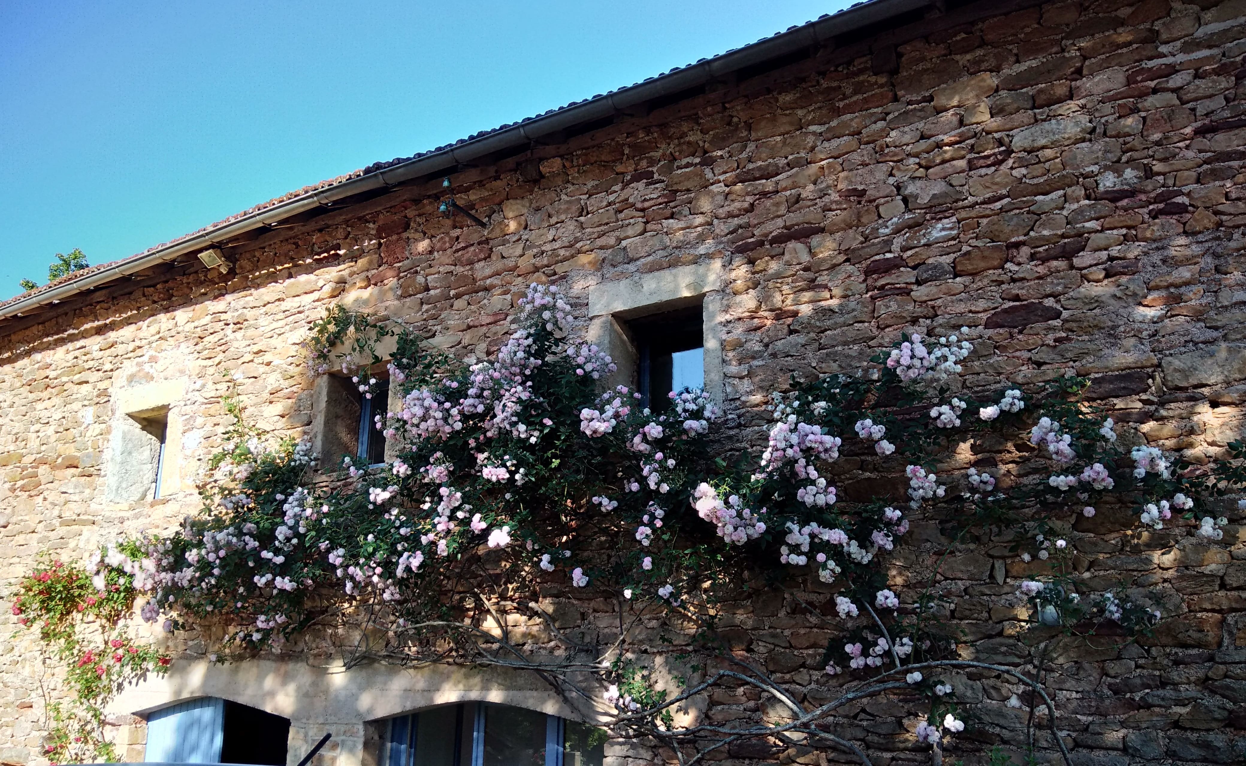 bergerie fleurie.